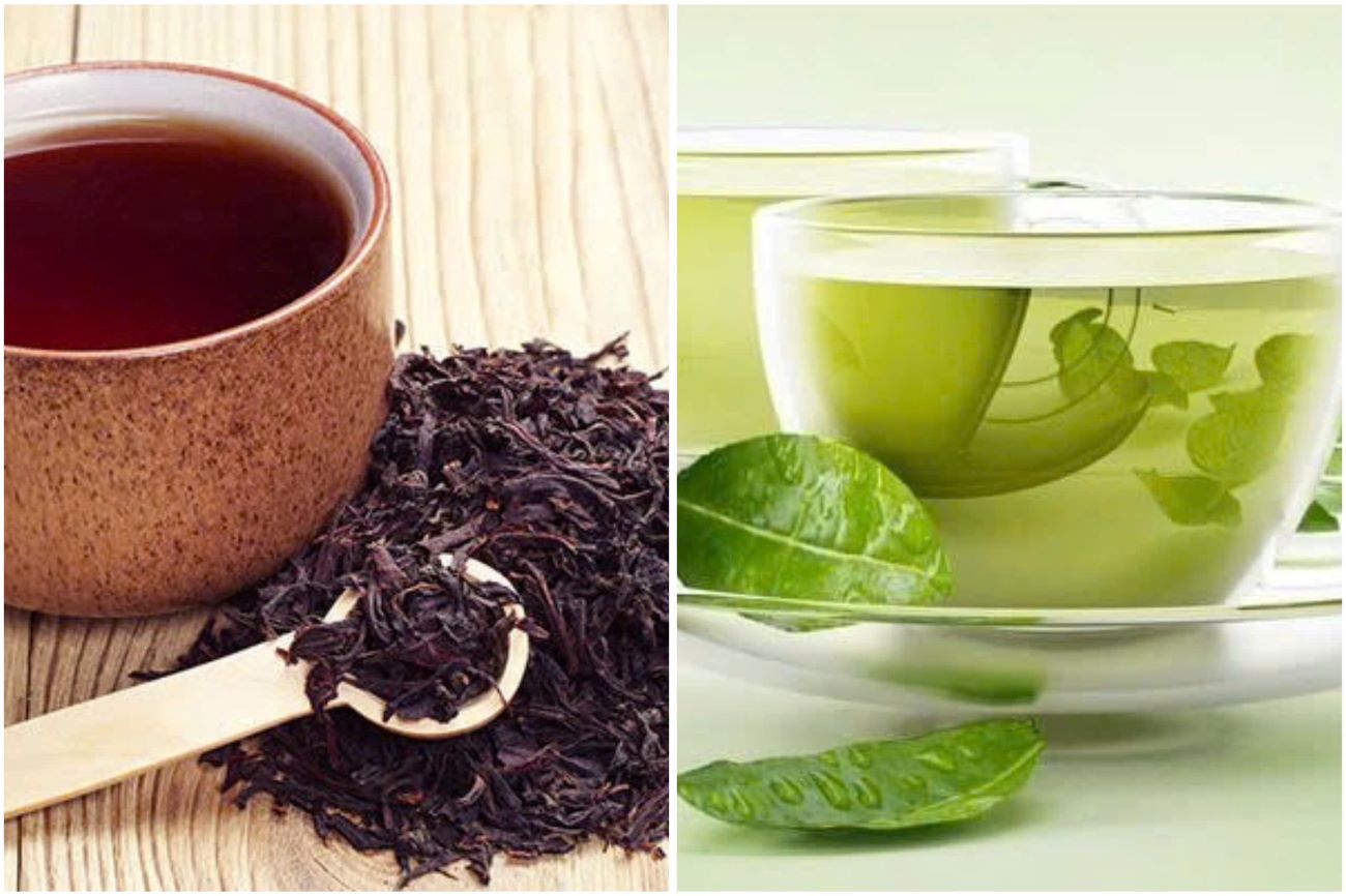 Drinking tea helps keep the brain and bones healthy. Graphics: Thanh Thanh