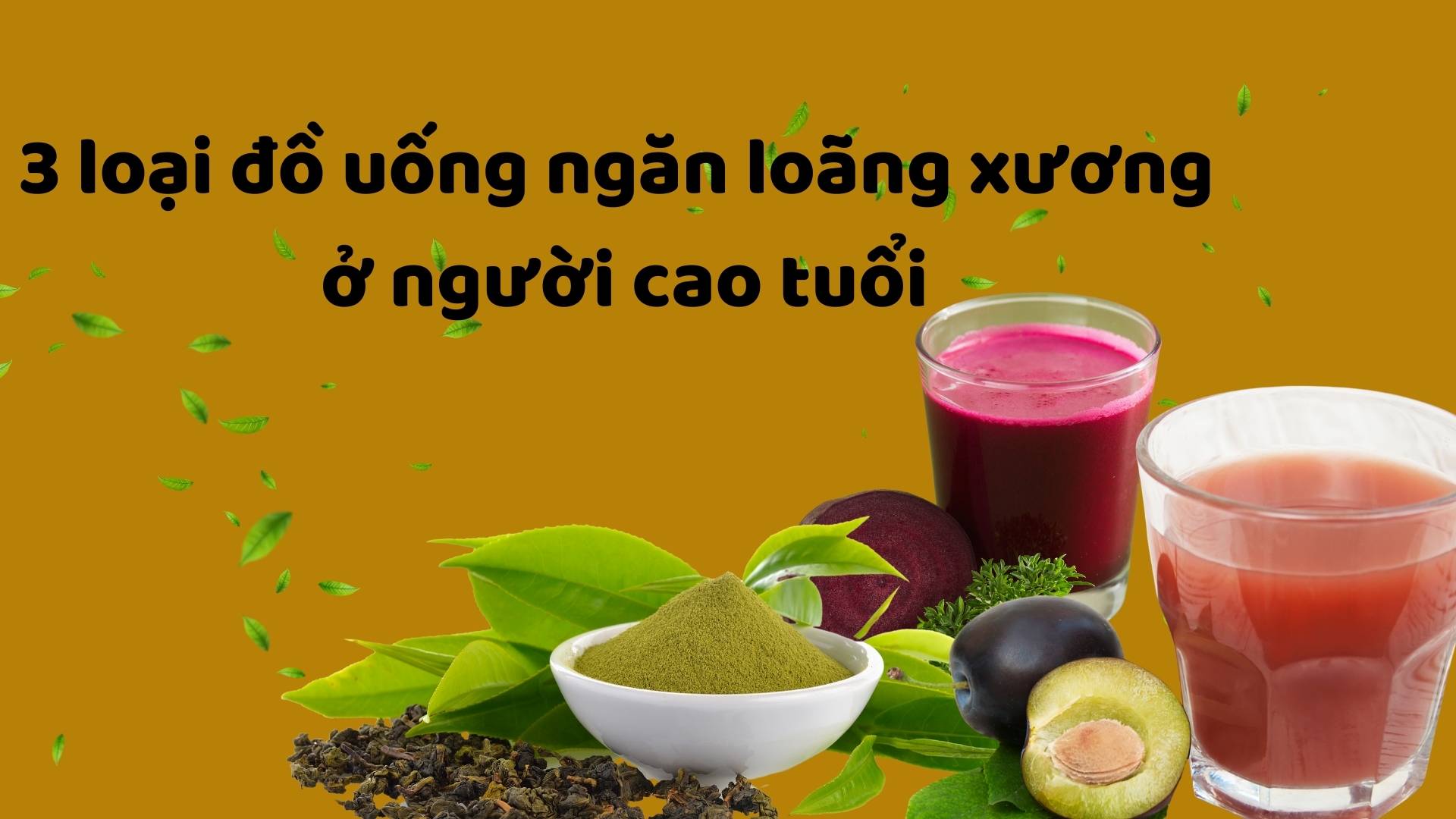 3 types of drinks to prevent osteoporosis in the elderly.