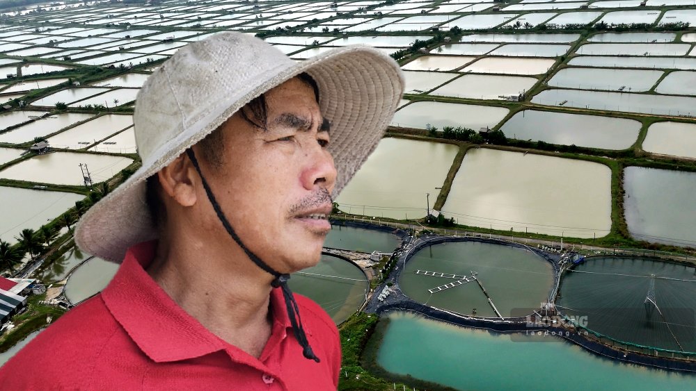 Shrimp farmers left empty-handed after the floods. Photo: Nguyen Luan.