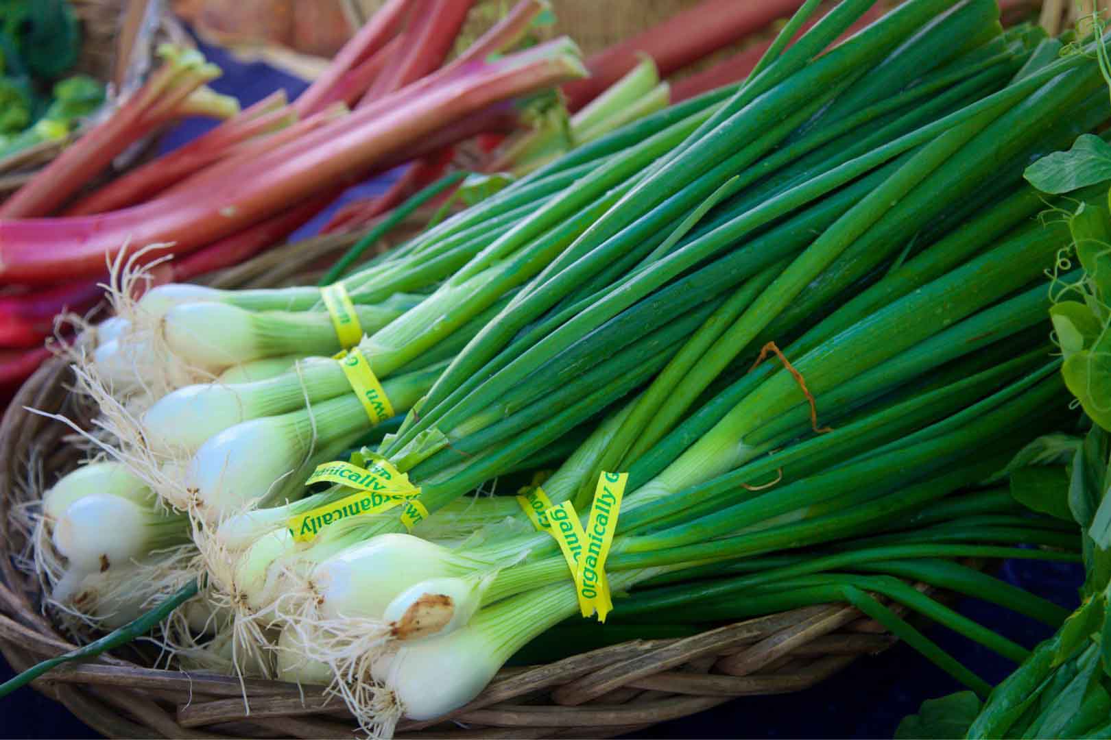 How does eating onions affect cholesterol and blood sugar?