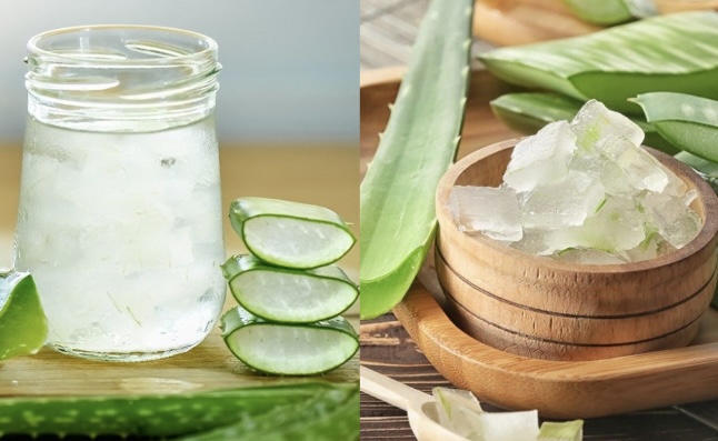 Using aloe vera helps control blood sugar. Graphics: Huong Giang