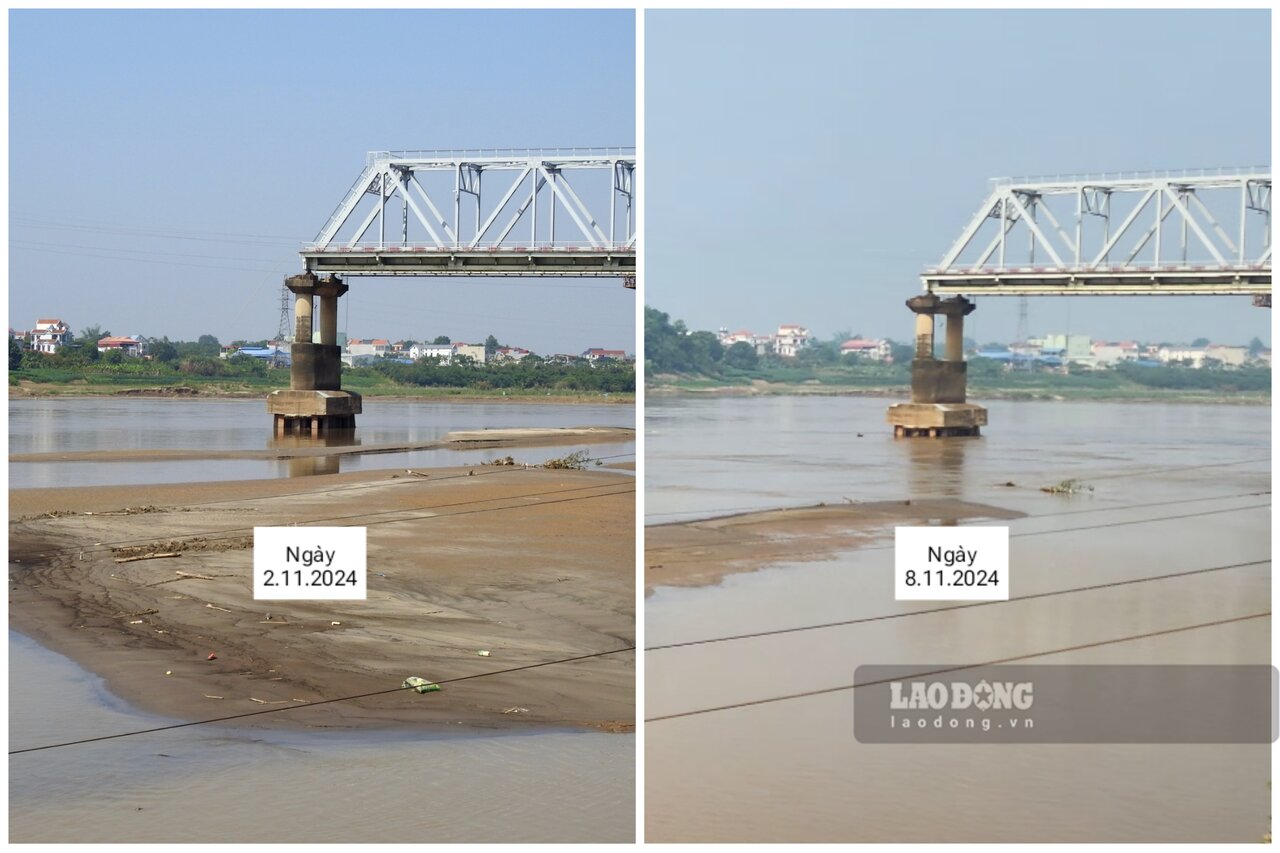 The water level of the Red River at Phong Chau Bridge changes continuously in a short period of time. Photo: To Cong.