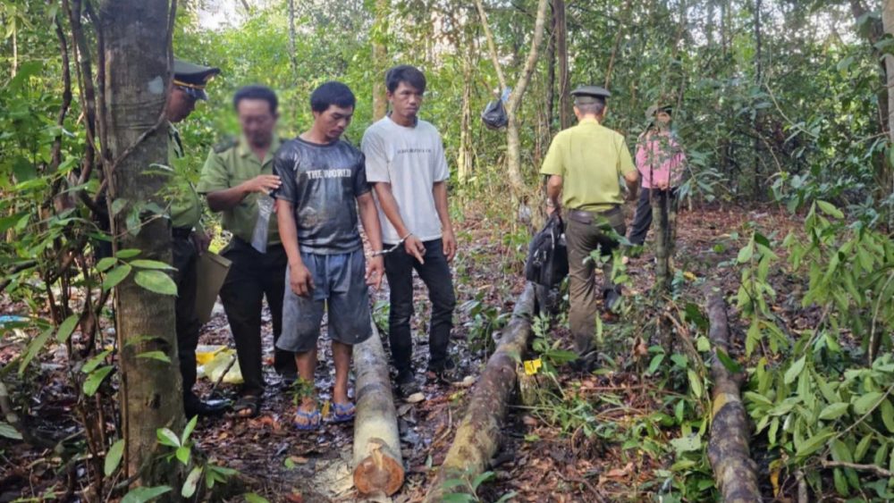 2 đối tượng bị bắt quả tang cùng tang vật cưa cây gỗ trong rừng đặc dụng Phú Quốc. Ảnh: Kiểm lâm cung cấp