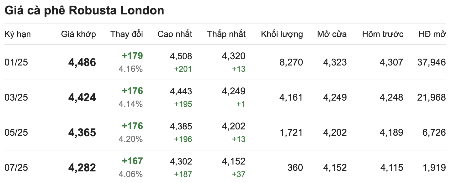 Thi truong gia ca phe Robusta cap nhat luc 11.30 ngay 8.11. Nguon: Giacaphe.com.