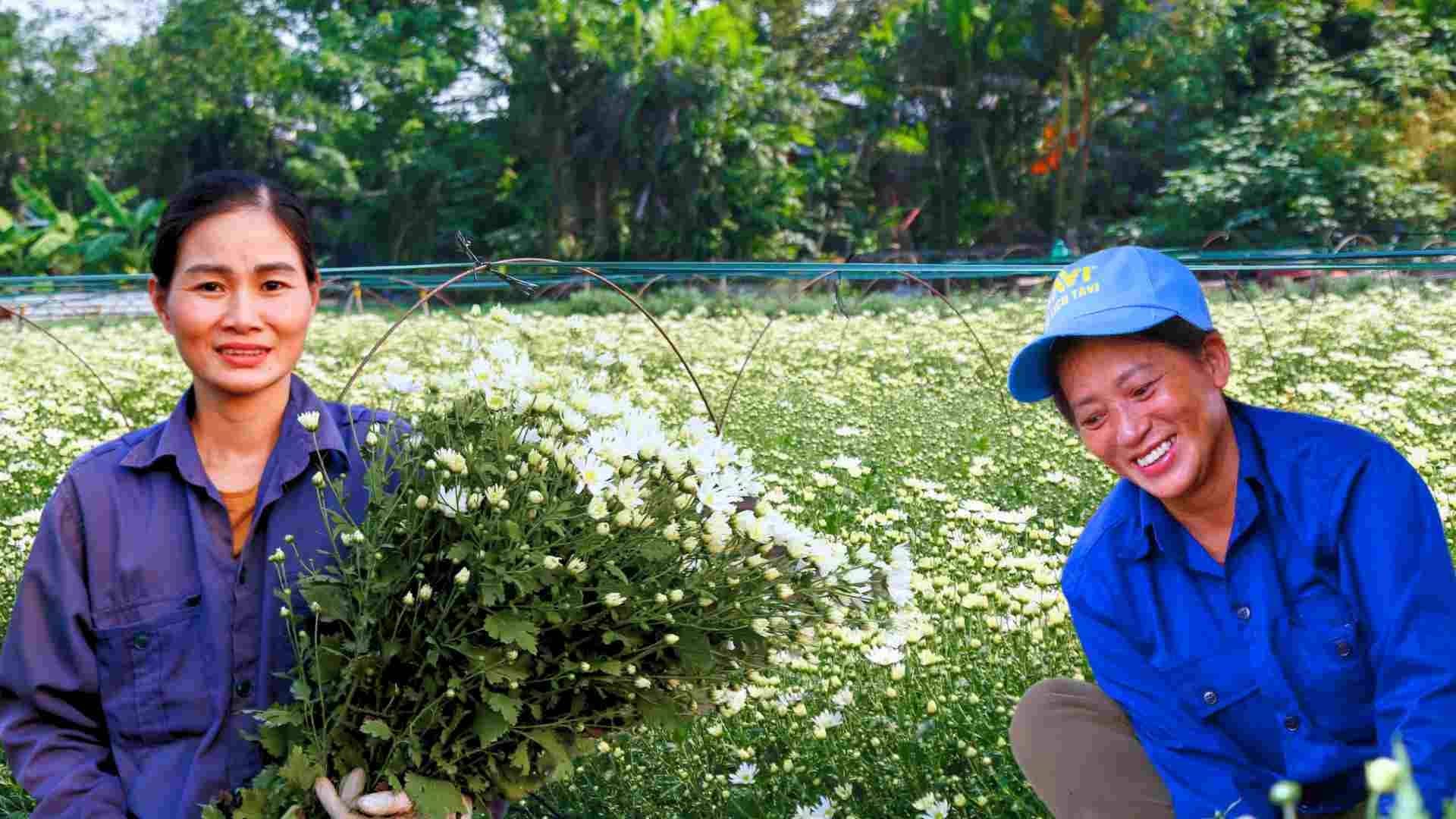 Joyful bustle at the nightingale garden that "survived" the storm