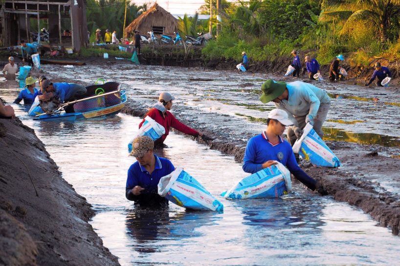 Viec nuoi tom mot phan giam duoc chi phi trong khau lam dat, phan, thuoc trong vu lua sau.