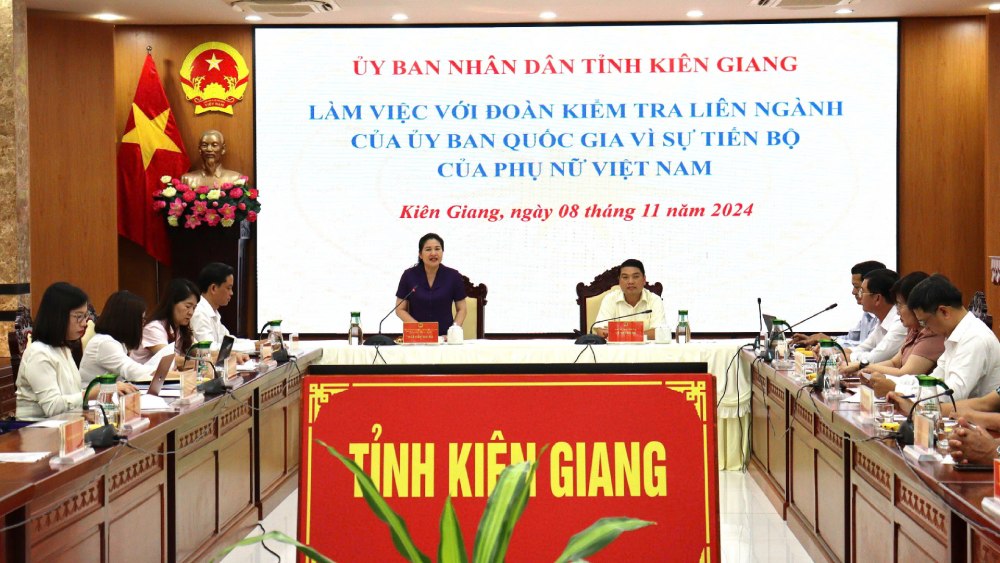 Thứ trưởng Bộ Lao động - Thương binh và Xã hội Nguyễn Thị Hà (đứng) phát biểu tại buổi làm việc với tỉnh Kiên Giang. Ảnh: Ngọc Mai