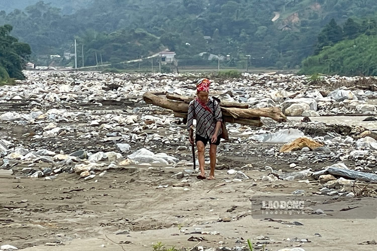 Rice fields in Lao Cai "petrified" after the storm and flood. Photo: Dinh Dai.
