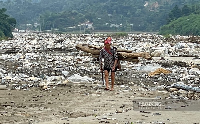 Rice fields in Lao Cai "petrified" after the storm and flood. Photo: Dinh Dai.