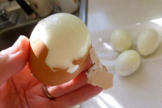 Stopping eating eggs completely can affect muscle maintenance, the immune system and cognitive health. Photo: Minh Quang