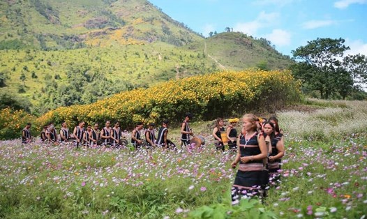 Người dân làng Gri bên đồi hoa dã quỳ. Ảnh: Thanh Tuấn