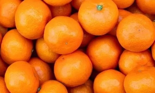 Quýt là loại trái cây có thể hỗ trợ giảm cân, giảm mỡ bụng. Ảnh: Kiều Vũ