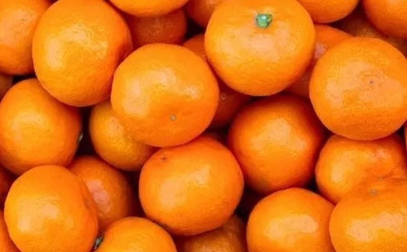 Tangerine is a fruit that can help you lose weight and reduce belly fat. Photo: Kieu Vu