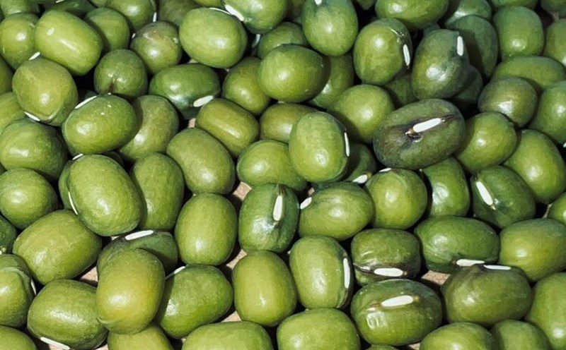 Adding green beans to your diet can help reduce belly fat. Photo: Kieu Vu