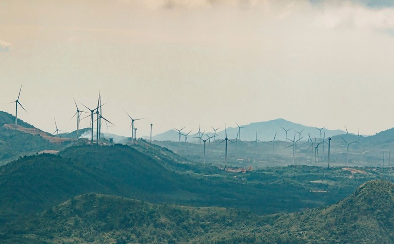 The wind power project in Quang Tri province has come into commercial operation. Photo: H.Nguyen.