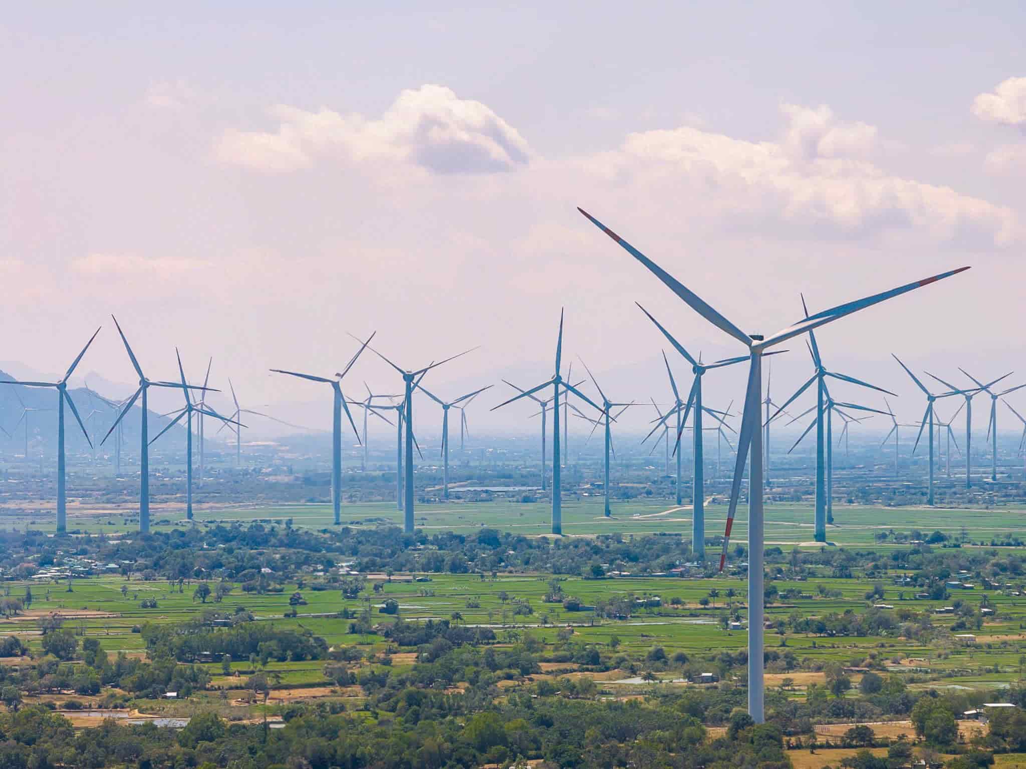 Ninh Thuan will apply investment policies to ensure the best interests of investors. Photo: Huu Long