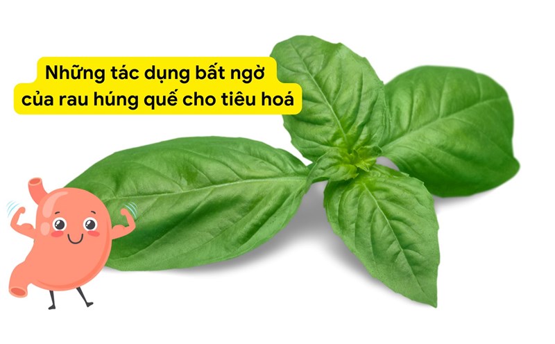 Basil contains many anti-inflammatory compounds. Photo collage: HUONG SON