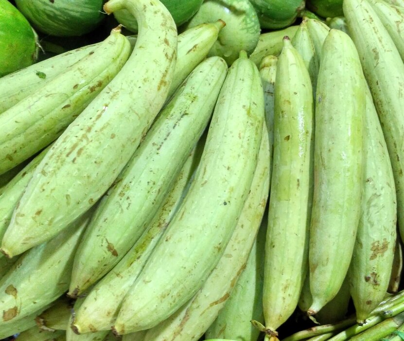 One of the benefits of squash is said to be lowering blood sugar and weight loss. Photo