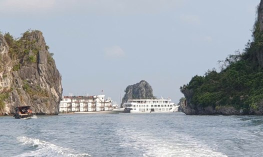 Tàu du lịch vịnh Hạ Long. Ảnh: Nguyễn Hùng