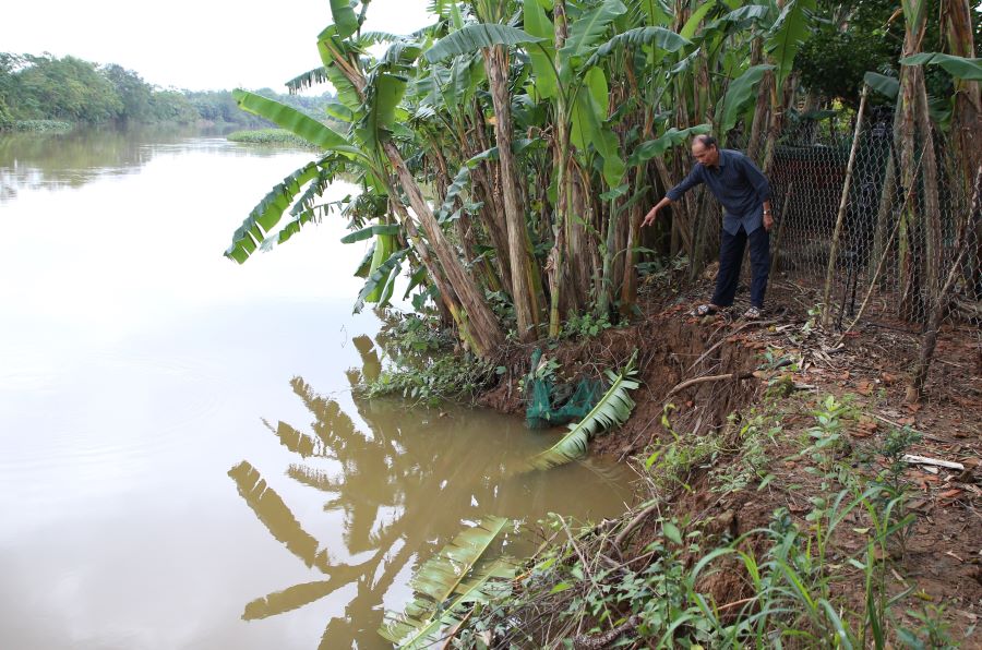 The riverbank has eroded, eaten deep into and is only 3m away from people's houses. Photo: Hung Tho.
