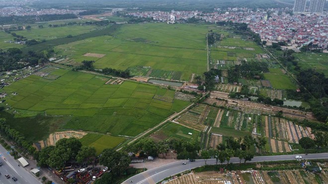 2 things to do when buying land in planning or dispute. Photo: Vinh Hoang