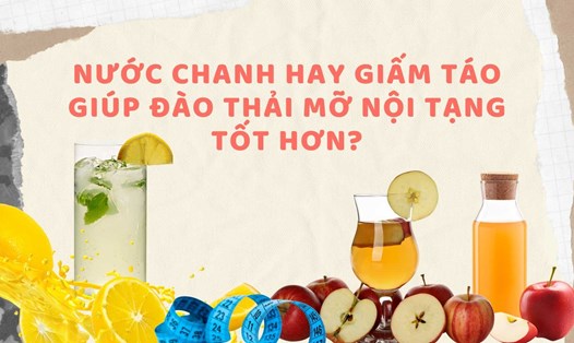 Nước chanh và giấm táo có sự khác nhau trong đào thải mỡ nội tạng. Đồ hoạ: Hạ Mây