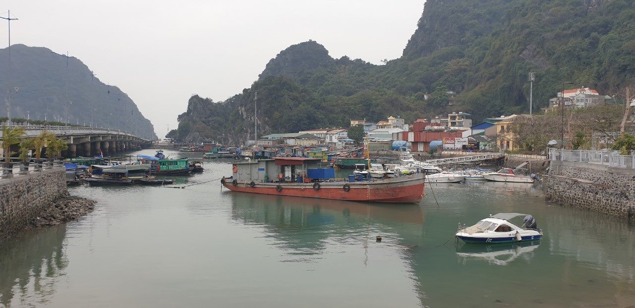The area where the seafood processing factory of Quang Ninh Import-Export Joint Stock Company is located in the center of Ha Long is heavily polluted. Photo: Nguyen Hung