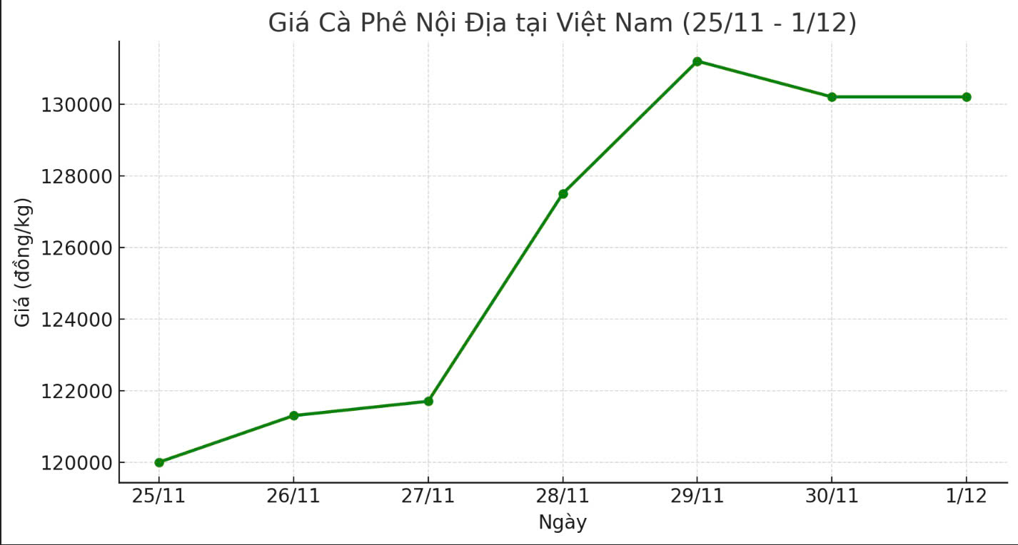 Thị trường giá cà phê nội địa tuần 25.11-1.12. Ảnh: Thanh Bình. 