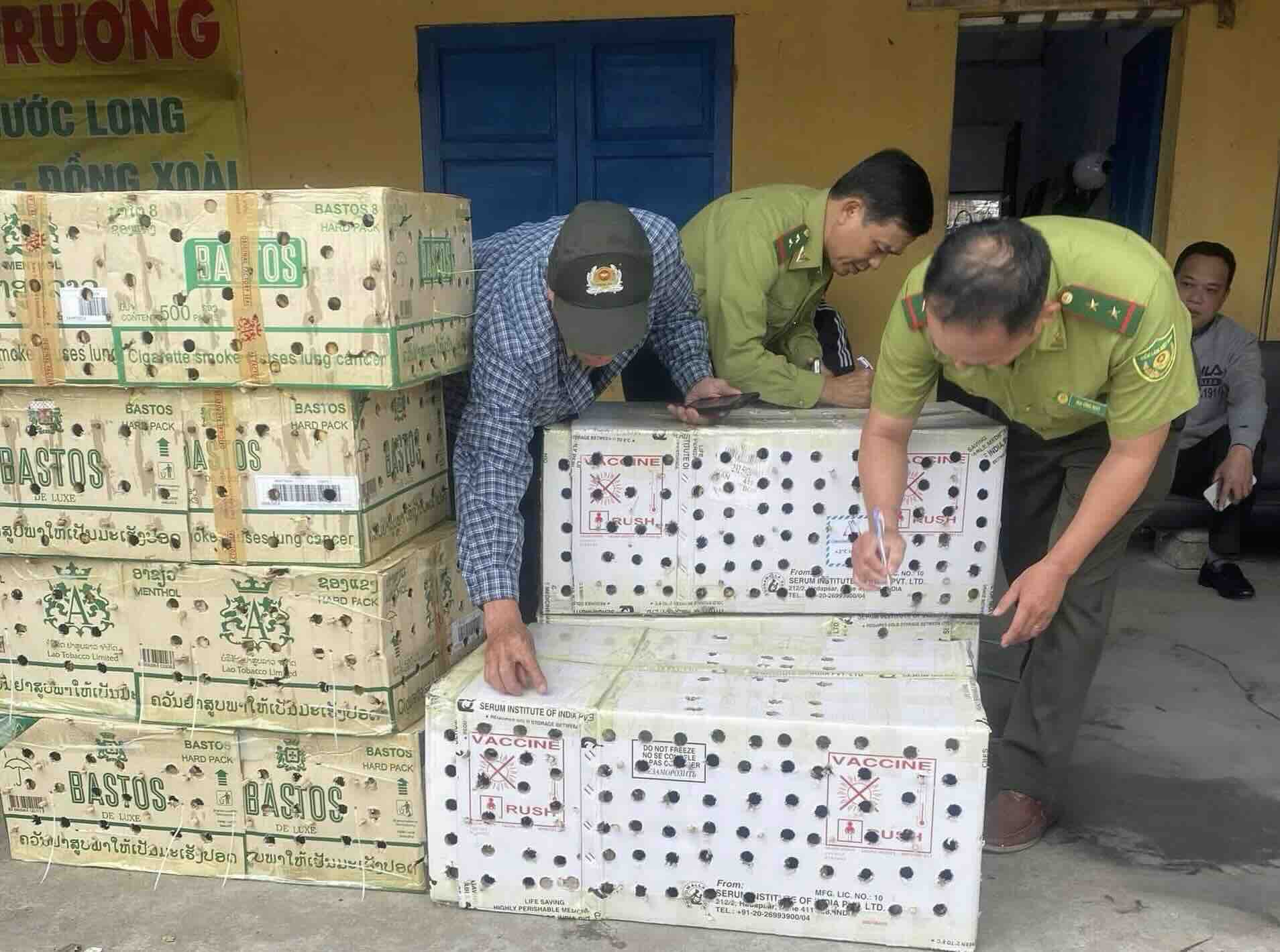 More than 900 wild starlings of unknown origin were locked in 7 cardboard boxes. Photo: Cong Thanh.