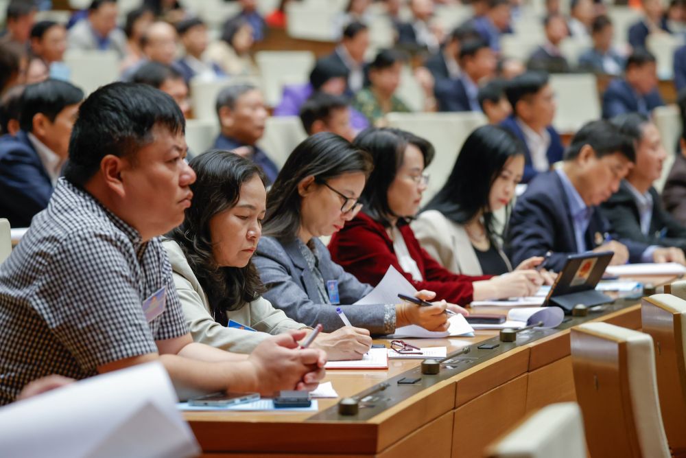 Delegates attending the Conference. Photo: T.Vuong