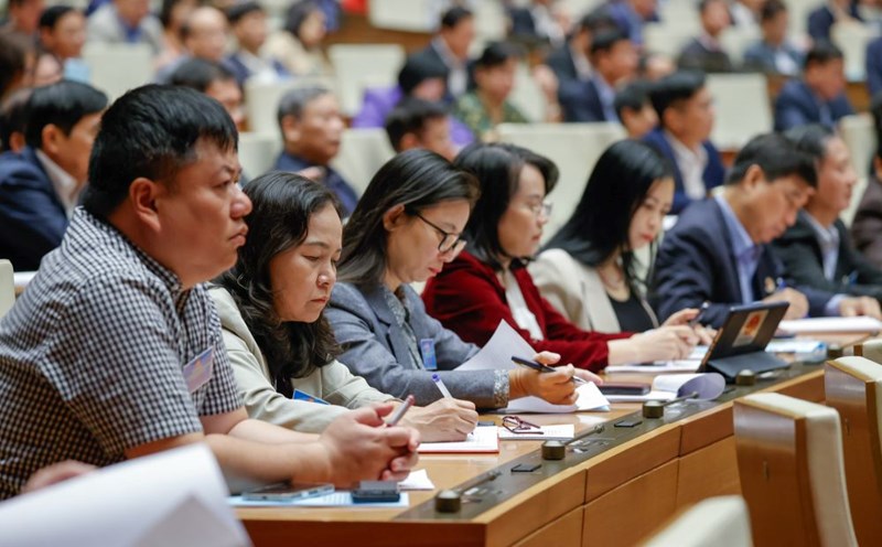 Delegates attending the Conference. Photo: T.Vuong