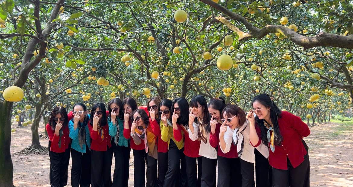 Many tourists enjoy visiting Dien grapefruit gardens in Hanoi. Photo: Hoai Lan