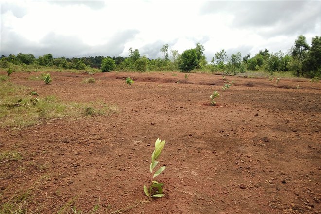 The National Assembly's Resolution clearly stipulates the conditions for piloting commercial housing on defense and security land. Illustration photo: Huu Long