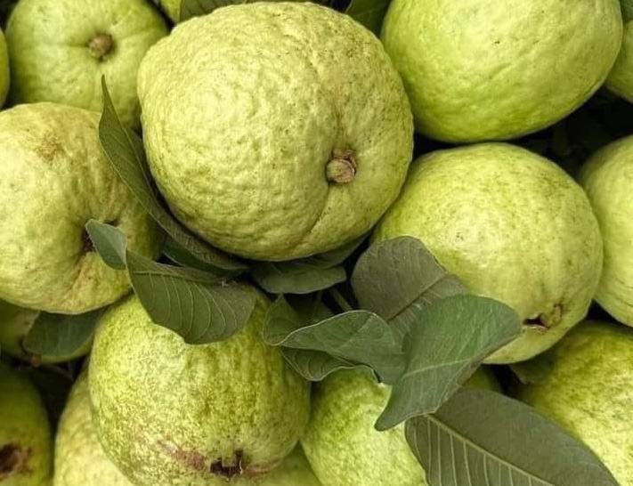 To support muscle growth and recovery after exercise, add this protein-rich fruit to your daily diet. Photo: Kieu Vu