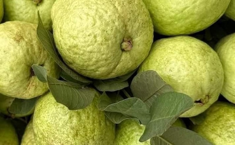 To support muscle growth and recovery after exercise, add this protein-rich fruit to your daily diet. Photo: Kieu Vu