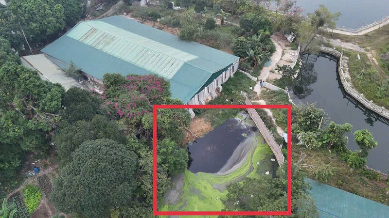 People “cry for help” because the duck farm has the potential to pollute the environment. Photo: Hoang Loc