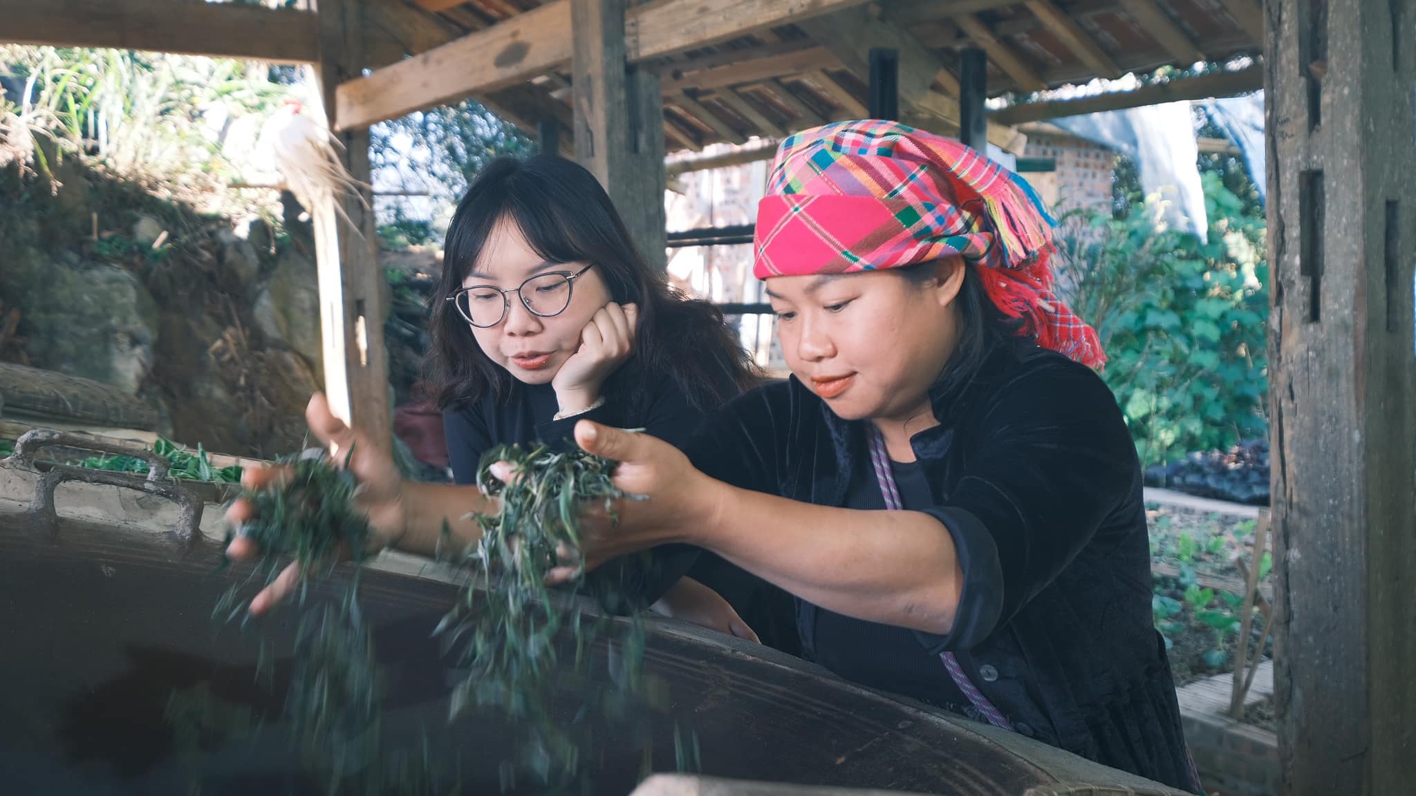 Chi Thuy Nguyen, chu thong dong retreat, mot co so luu tru o Ta Xua cung la nguoi co y tuong mo tour cho khach tu tay hoc cach sao tra tuoi va lam hoa tiet nhuom vai cham. Chi Thuy chia se: “Xuat phat tu nhung chuyen di choi, trai nghiem ca nhan va ban be, tu nhung tro choi binh thuong nhung dan duoc lam theo cach chin chu, nghiem tuc hon va hinh thanh nhung tour trai nghiem nhu hien nay“.