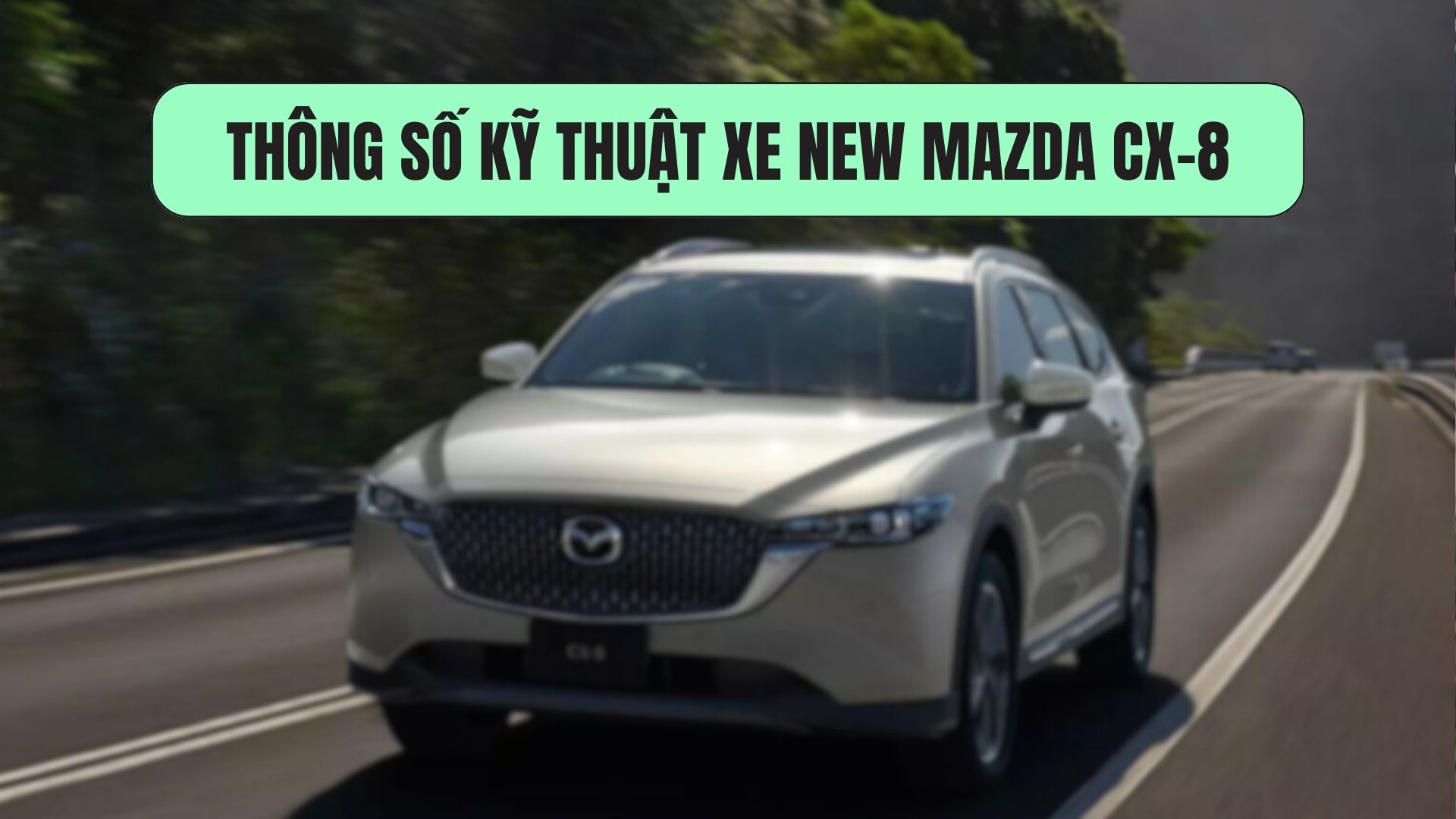 Technical specifications of the New Mazda CX-8. Graphics: Dinh Dinh