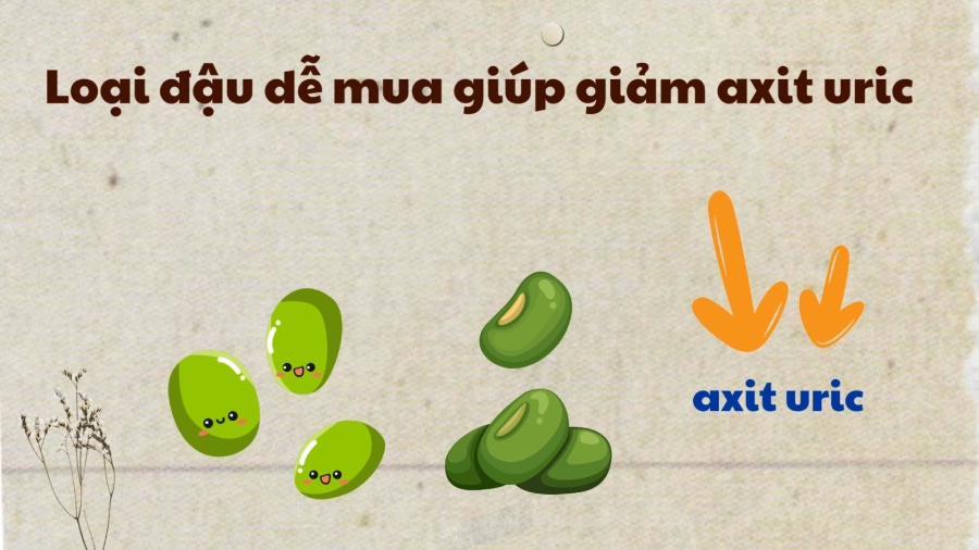 Easy-to-buy beans help reduce uric acid. Graphics: Phuong Anh
