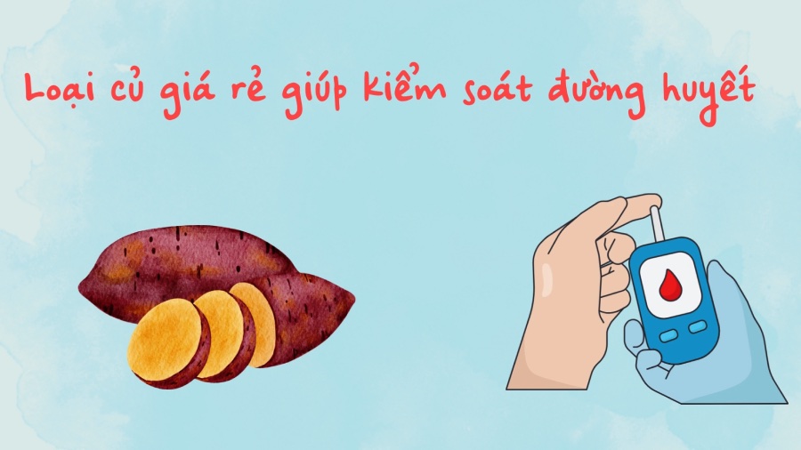 Cheap root vegetable helps control blood sugar. Graphics: Phuong Anh