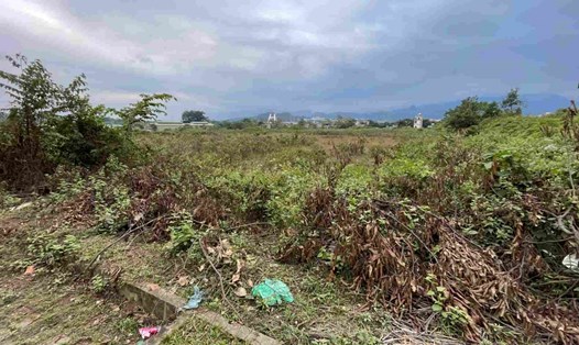 Đất đai dự án bỏ không gây lãng phí. Ảnh: Đinh Đại