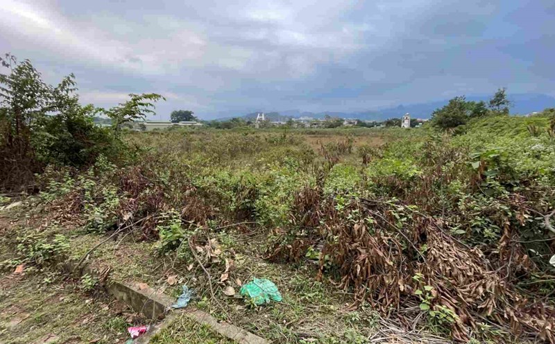 Illegal project land causes waste. Photo: Dinh Dai