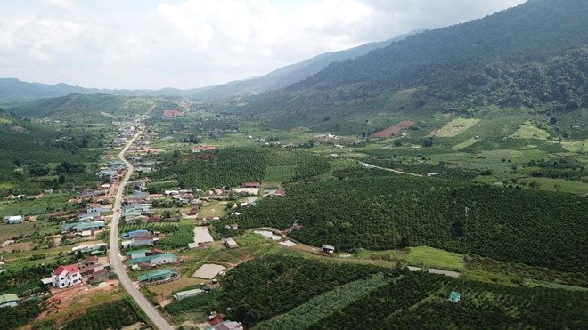 Thousands of Lam Dong people are "living illegally" in their homeland. Photo: Bao Lam