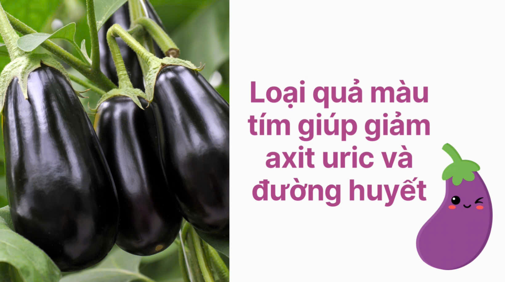 Purple fruit helps reduce uric acid and blood sugar