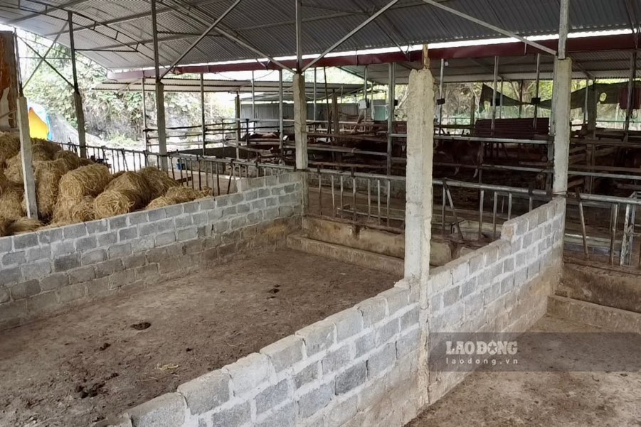 Chung toi tung nghi du an nay se mang lai nhieu co hoi cho nguoi dan va kinh te dia phuong. Song bao nam trien khai i ach, khong nhu ky vong, dat thi bo hoang dang do nhin ma tiec nuoi, lang phi. Neu du an khong tiep tuc nua thi toi mong co quan cac cap som co phuong an thay the“, ba K thong tin them. 