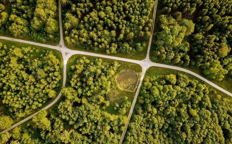 Achieving net zero emissions by 2050 is an inevitable development goal for the world.