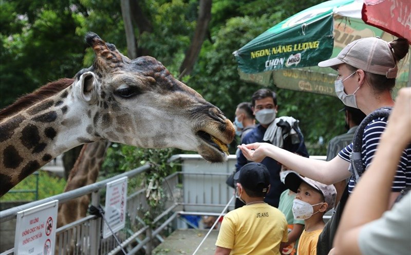 People feed animals at Saigon Zoo and Botanical Garden. Photo: Anh Tu