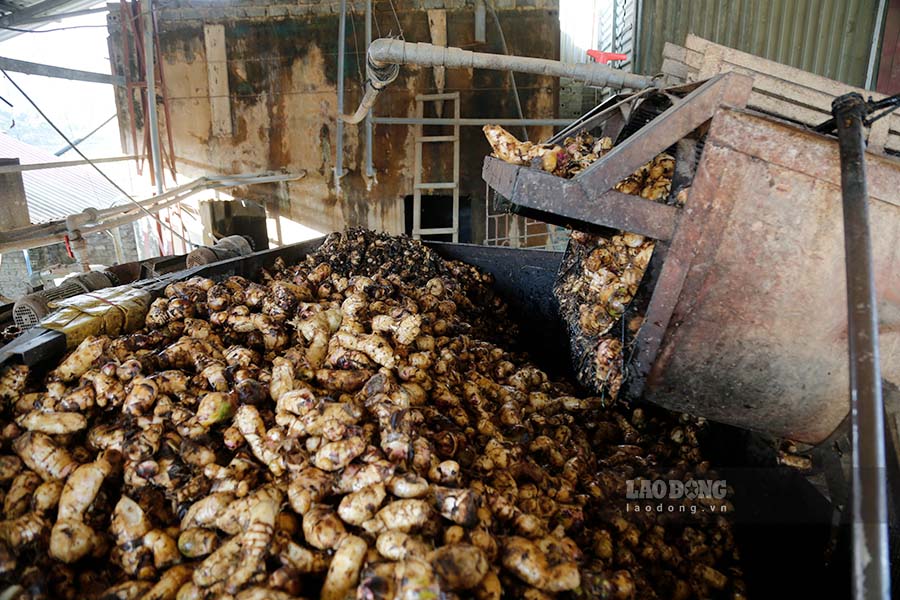 Many owners of cassava factories in Dien Bien Phu City have invested billions of dong in the factory. Photo: Quang Dat
