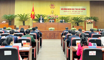 At the 28th session of the 17th Provincial People's Council, the Director of the Department of Health said that every year the Department conducts surprise inspections of traditional medicine clinics. Photo: Hai Duong Provincial Portal