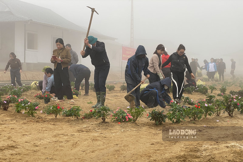 Cac don vi ho tro trong hoa, cai tao canh quan tai khu dan cu Nam Tong (Nam Luc, Bac Ha). Anh: Dinh Dai